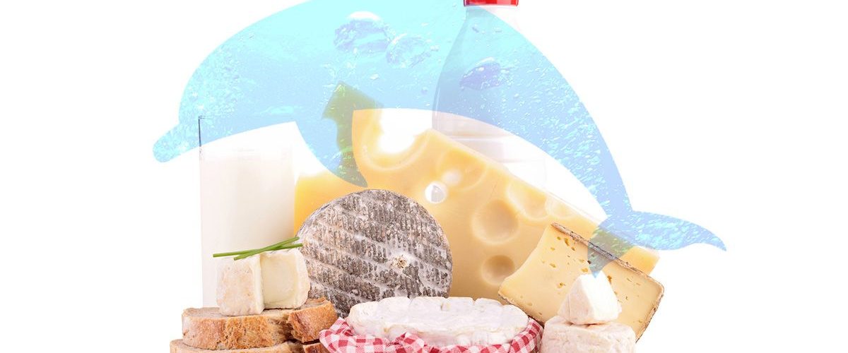 Is this the best diet for living longer?