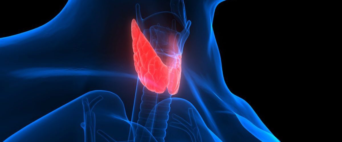 All mouth and nitrates: The real cause of heart disease?